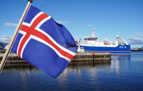 Iceland EU Vote